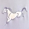 Girls Goode Rider Champion Polo -Equestrian Clothing girls champion polo blue sky back embroidery 18046 G 2342 goode rider 30872.1650829477