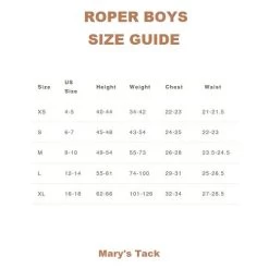 Roper Boys Border Print Snap Shirt